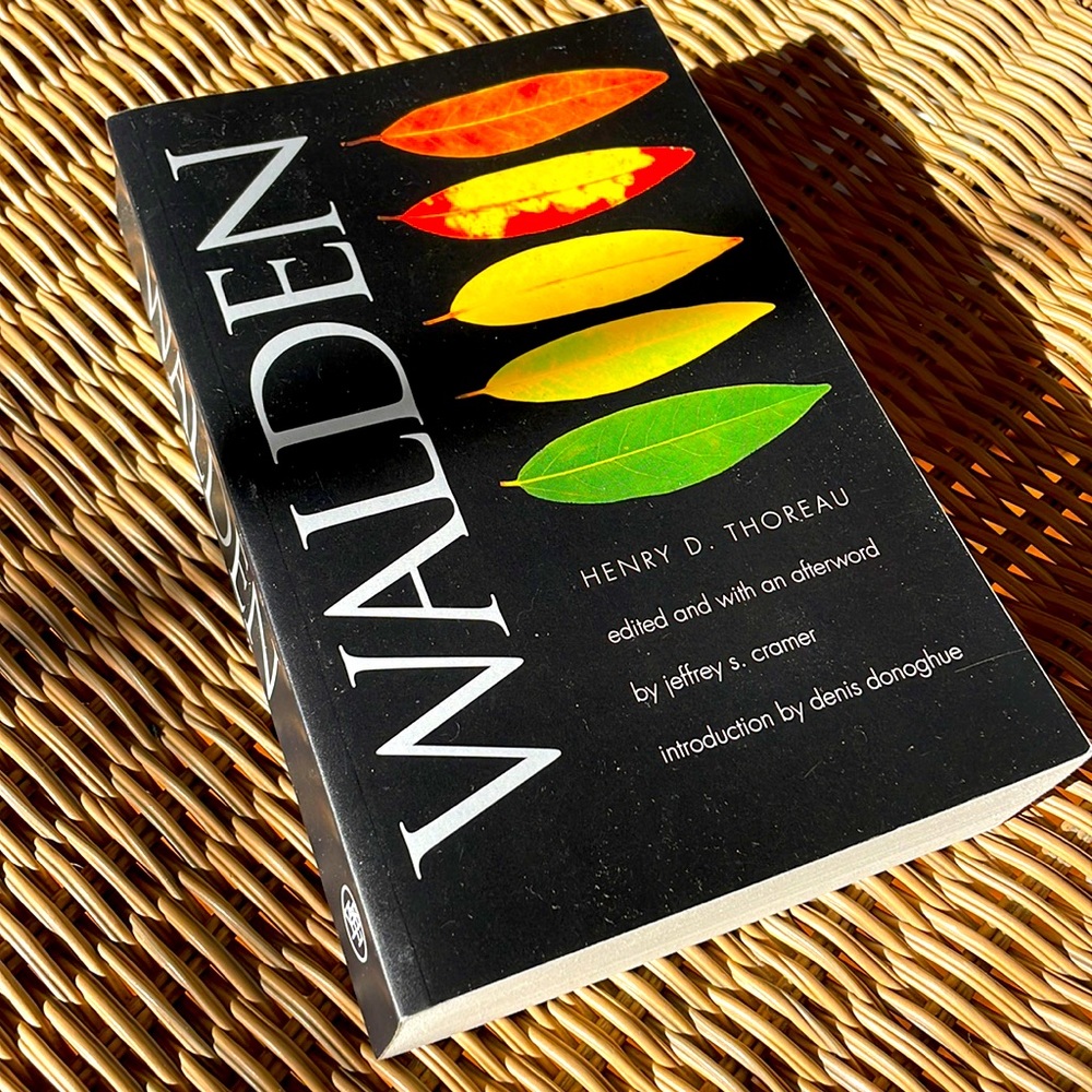 Classic Novel: Walden by Henry David Thoreau (condition:new)